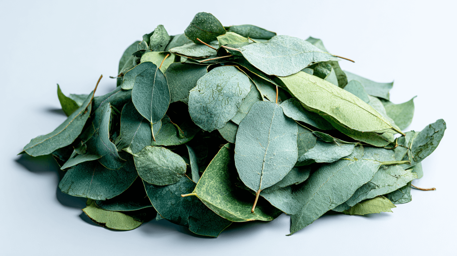🌿 5 Medicinal Leaves Traditionally Used for Diabetes, Circulation & Immune Support