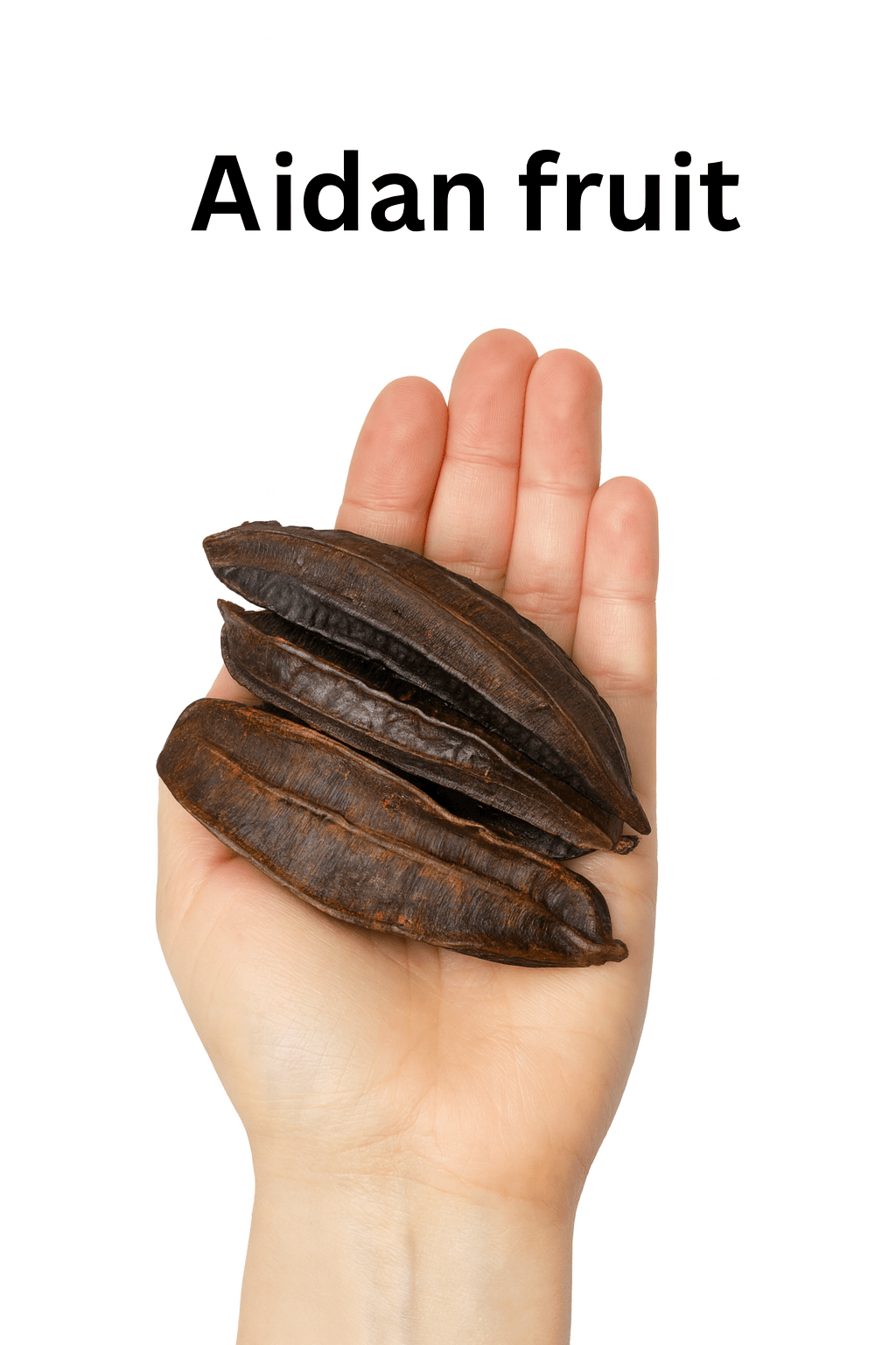🌿 Aidan Fruit (Tetrapleura tetraptera): Health Benefits & Preparation