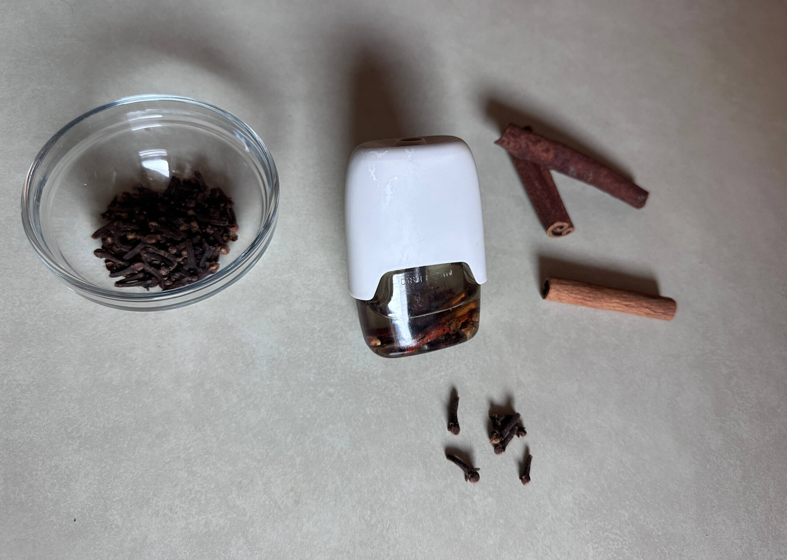 ✅ Stop Mosquitoes Naturally: Cloves, Cinnamon & Coffee Beans
